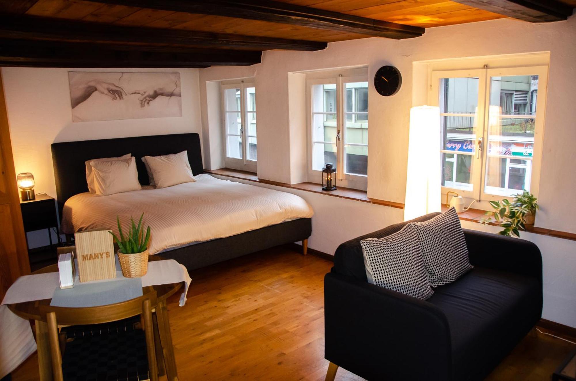 Many'S Historical City Central Apartments Zürich Eksteriør bilde